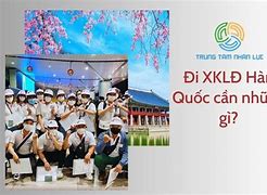 Điều Kiện Xklđ Hàn Quốc 2022 Pdf Download Gratis Gratis