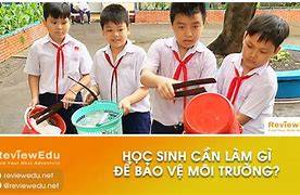 Sinh Viên Cần Làm Gì Để Bảo Vệ Môi Trường