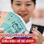 Trải Nghiệm Du Học Hè Trung Quốc Online 2024 Mới Nhất Download