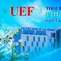 Uef Học Phí Các Ngành