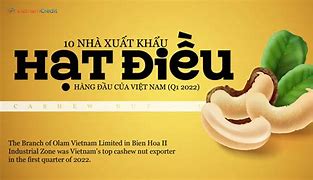 Xuất Khẩu Điều Việt Nam 2022 Là Gì